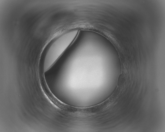 X0000081390630200701111207