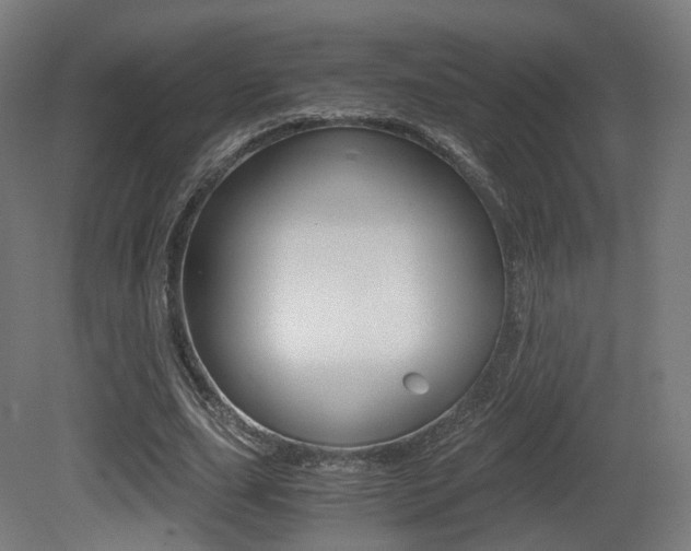 X0000081390631200701111207