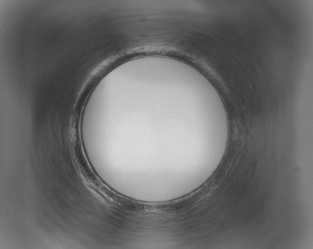 X0000081390632200701111207