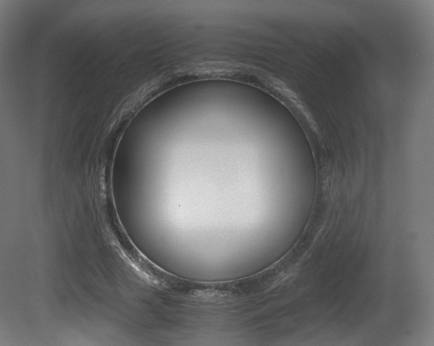 X0000081390633200701111208