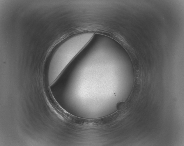 X0000081390634200701111208