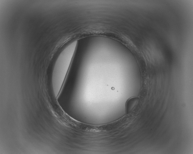 X0000081390635200701111208