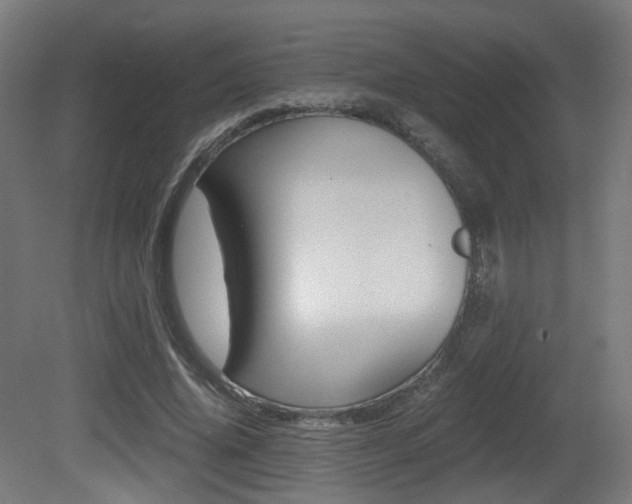 X0000081390636200701111208
