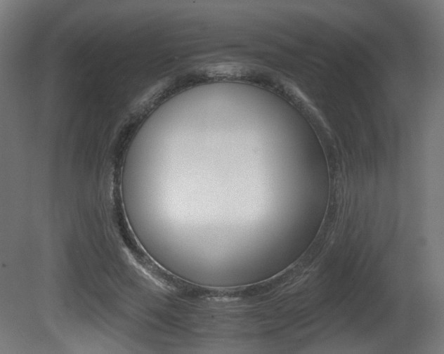 X0000081390637200701111208
