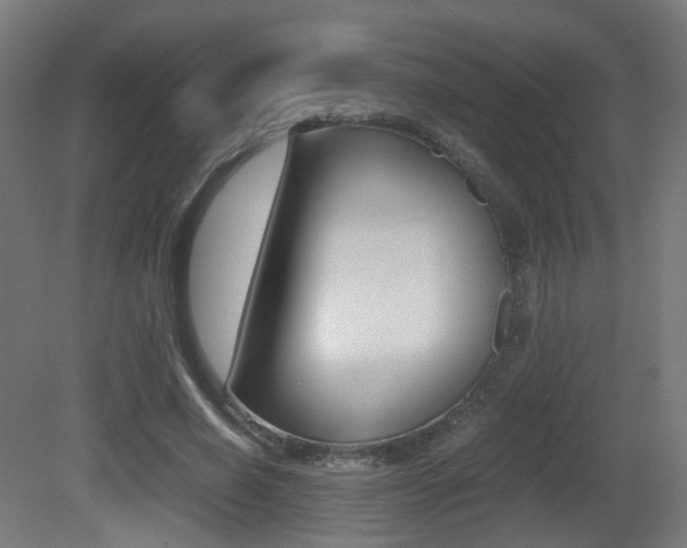 X0000081390638200701111208