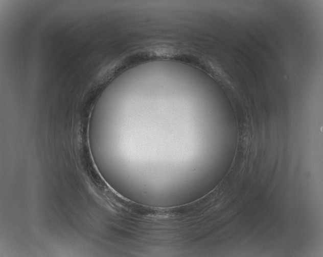 X0000081390639200701111208