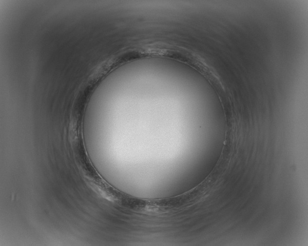 X0000081390641200701111208