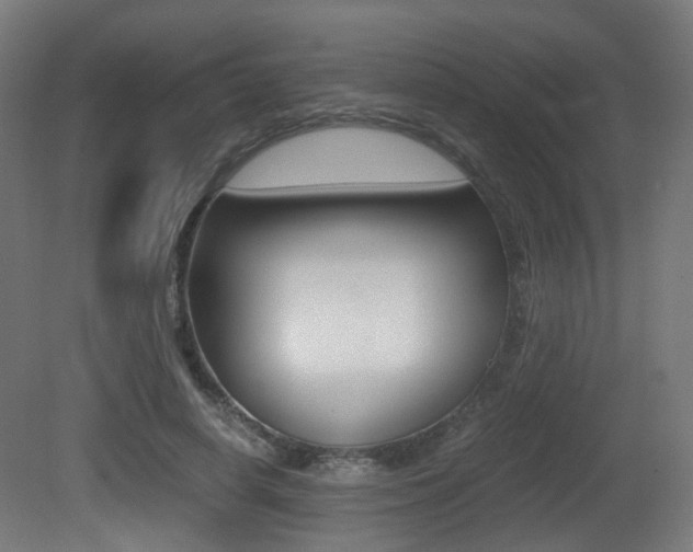 X0000081390642200701111208