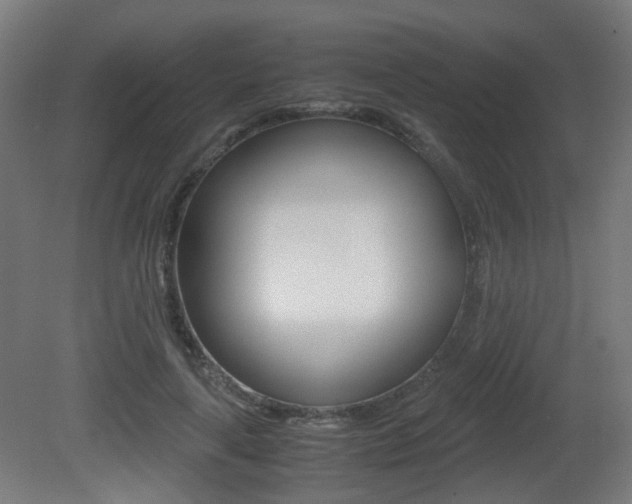X0000081390643200701111208