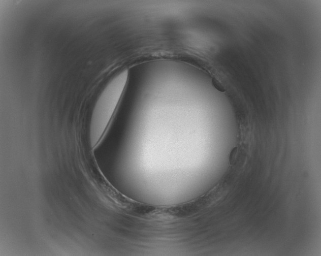 X0000081390648200701111208