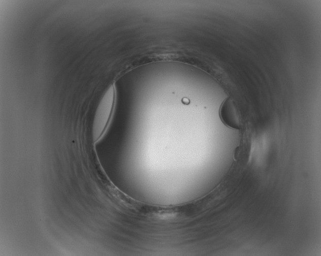 X0000081390651200701111208