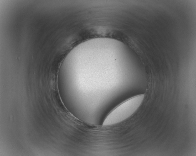 X0000081390656200701111208
