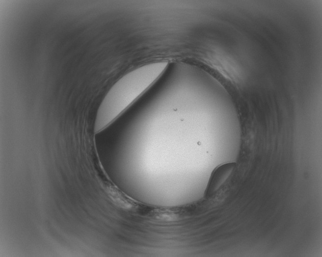 X0000081390658200701111208
