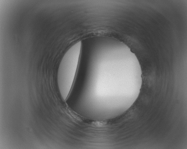 X0000081390660200701111208