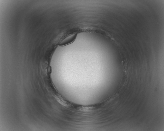 X0000081390664200701111208