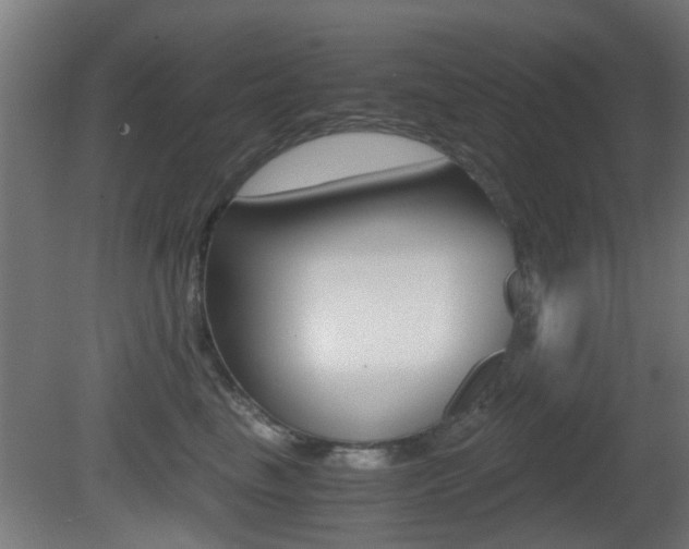 X0000081390665200701111208
