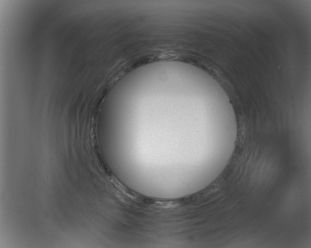 X0000081390667200701111208