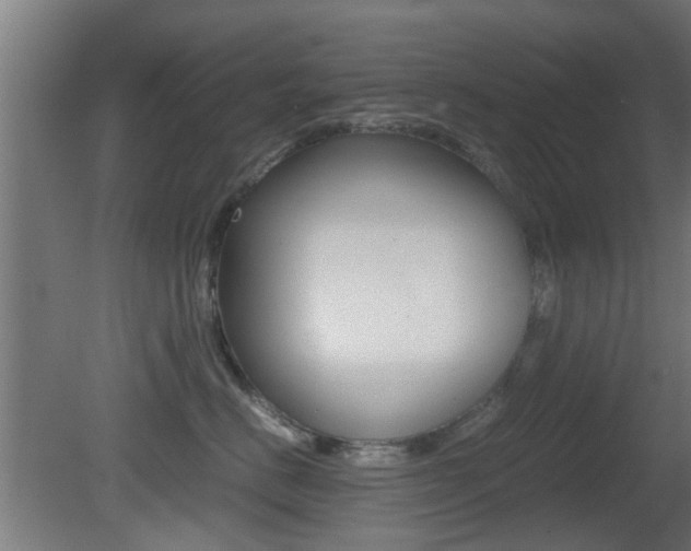 X0000081390670200701111208