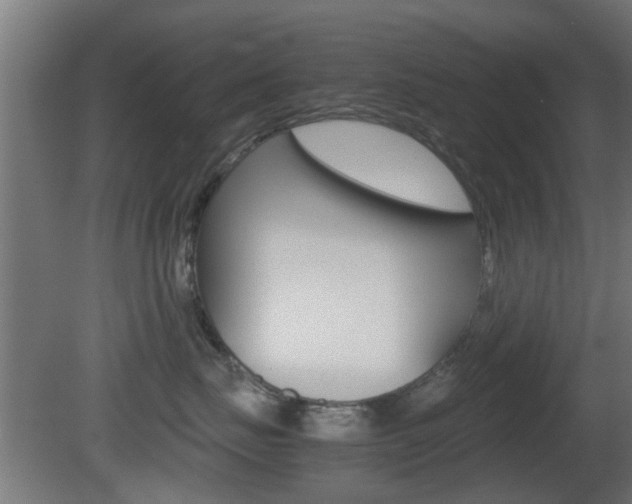 X0000081390671200701111208