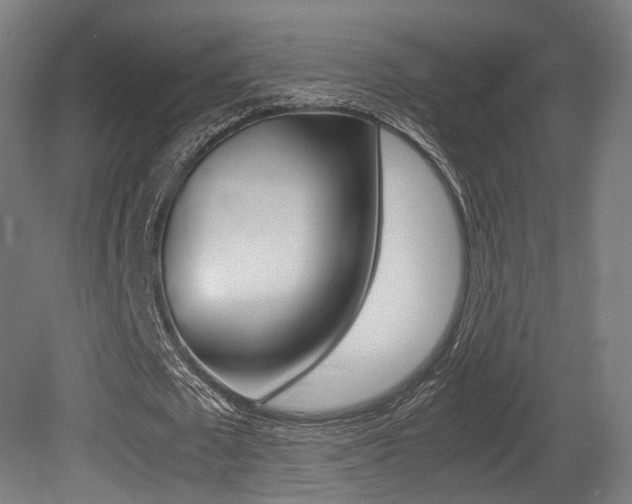 X0000081390673200701111207