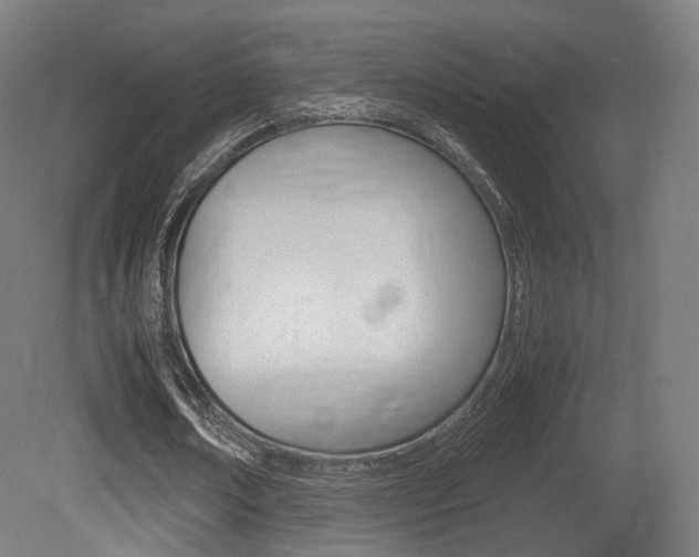 X0000081390674200701111207