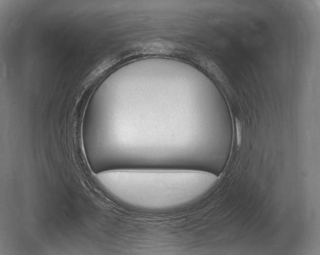 X0000081390675200701111207
