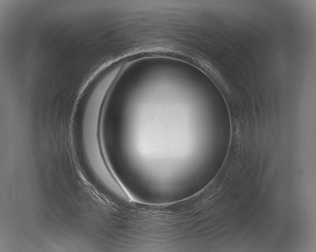 X0000081390676200701111207
