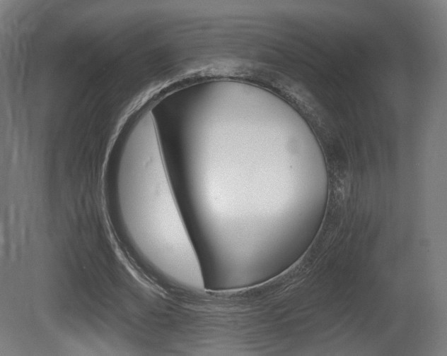 X0000081390678200701111207