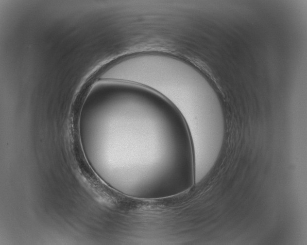 X0000081390680200701111207