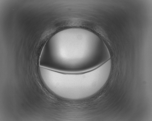 X0000081390681200701111207