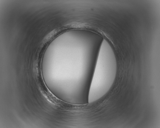 X0000081390682200701111207