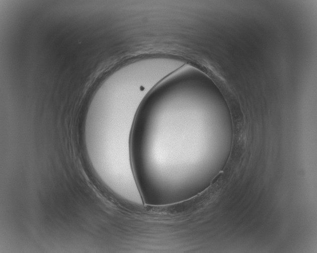 X0000081390685200701111207