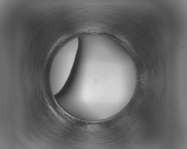 X0000081390686200701111207