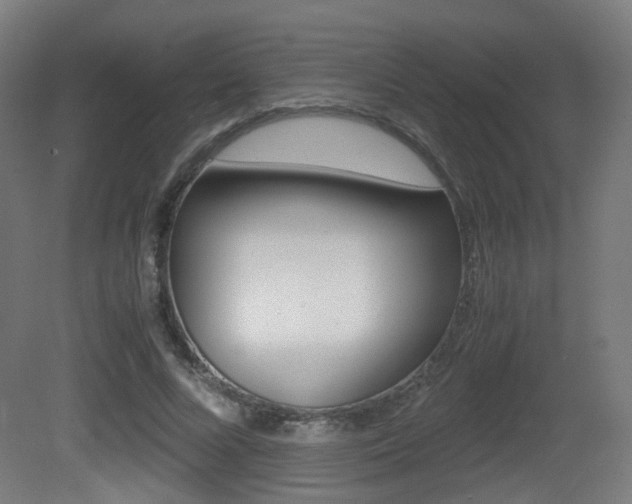 X0000081390688200701111207