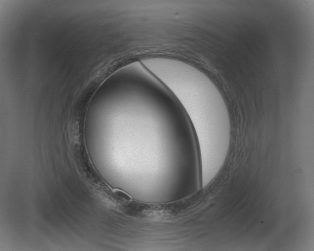 X0000081390689200701111207