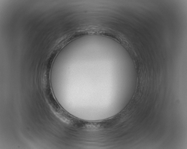 X0000081390690200701111207