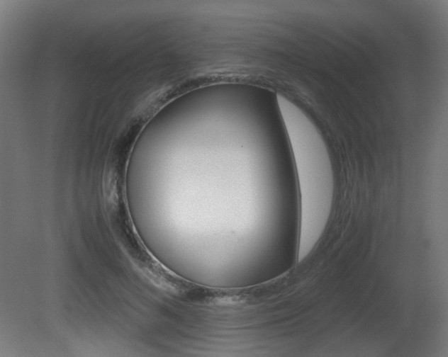 X0000081390692200701111207