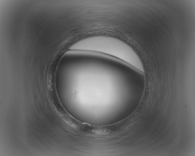 X0000081390693200701111207
