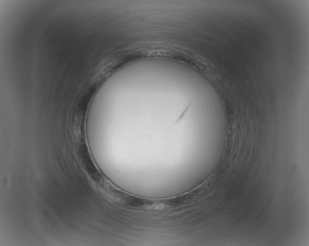 X0000081390695200701111207