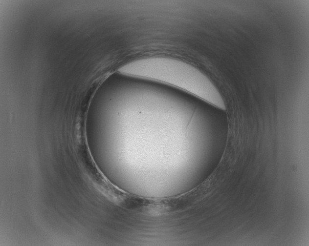 X0000081390696200701111207