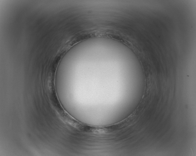 X0000081390698200701111207