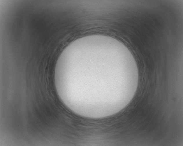 X0000081390701200701111207