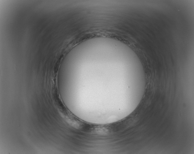 X0000081390702200701111207