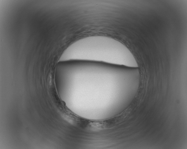 X0000081390703200701111207
