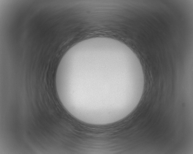 X0000081390705200701111207