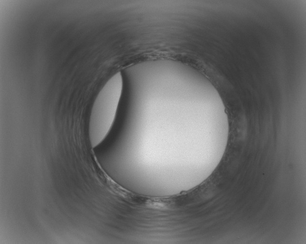 X0000081390706200701111207