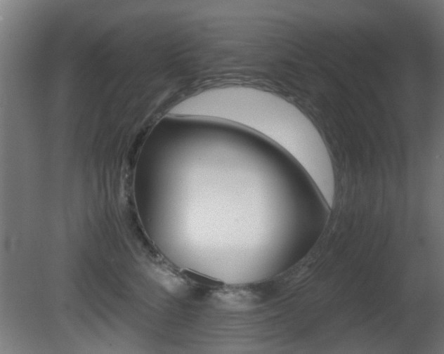 X0000081390712200701111207