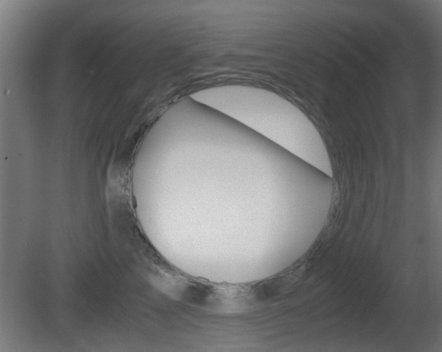 X0000081390713200701111207