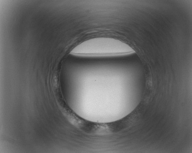 X0000081390715200701111207