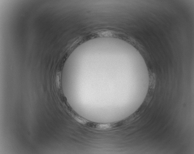 X0000081390717200701111207